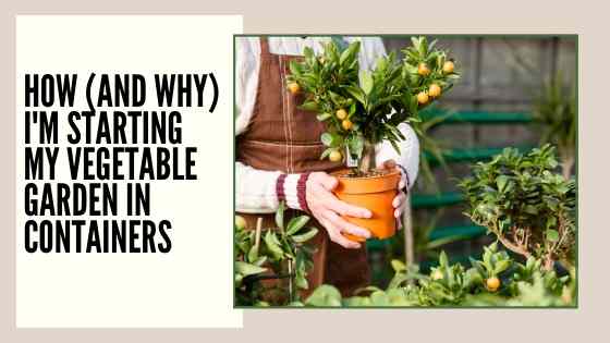 how-im-starting-a-vegetable-garden-in-containers