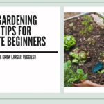 11 Best Gardening Tools & Tips For Absolute Beginners