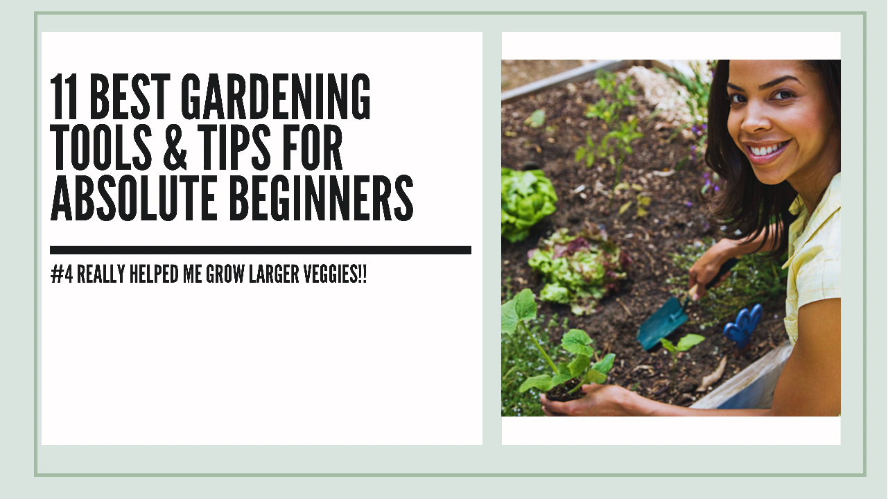 11 best gardening tools & tips For absolute beginners