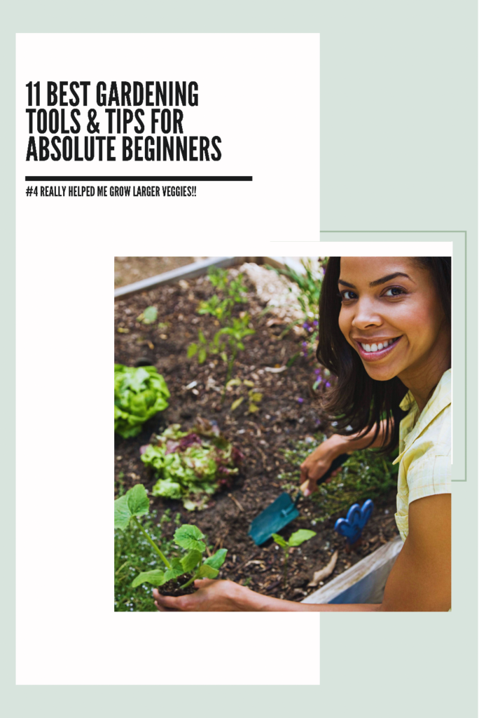 11 best  gardening tools & tips For absolute beginners