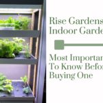 Rise Gardens Indoor Garden Unit: Most Important Things You Should Know Before Buying One (2023)