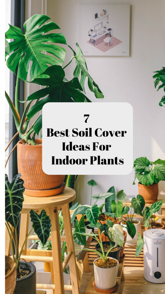 7 best coil cover ideas for indoor plants