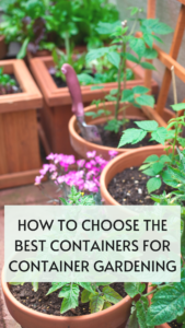 how to choose the best containers for container gardening