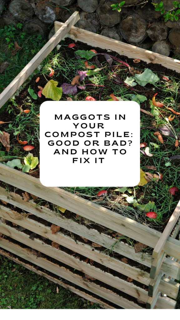 Maggots in your compost pile and how to fix it