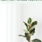DIY Neem Oil Spray for Indoor Plant: How to Make Your Own