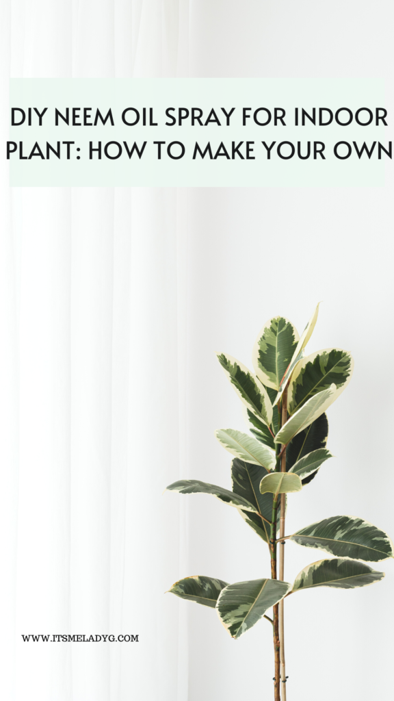 DIY NEEM OIL SPRAY FOR INDOOR PLANTS