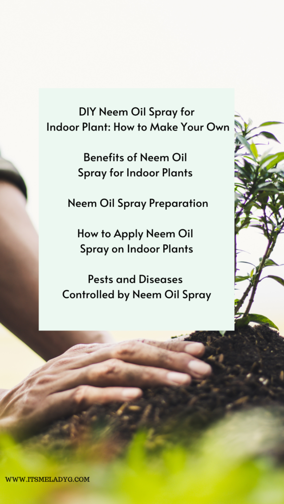 DIY NEEM OIL SPRAY FOR INDOOR PLANT 2