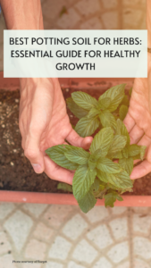 best-potting-soil-for-herbs-1-1