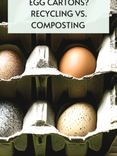can you compose egg cartons: recycling vs. cartons