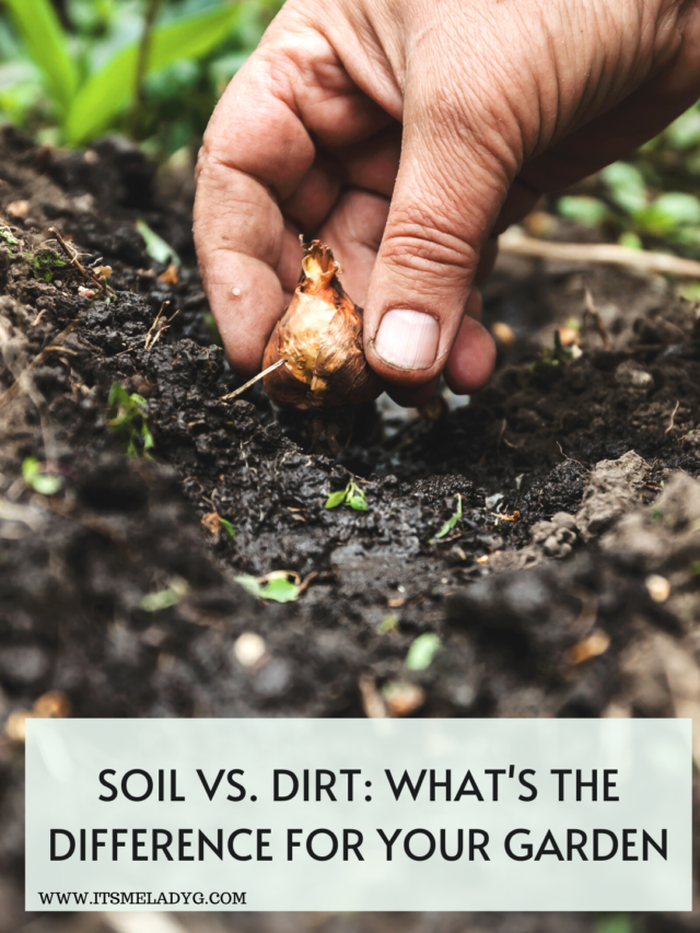Soil vs. Dirt: What’s the difference?
