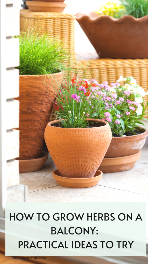 how to grow herbs on a balcony