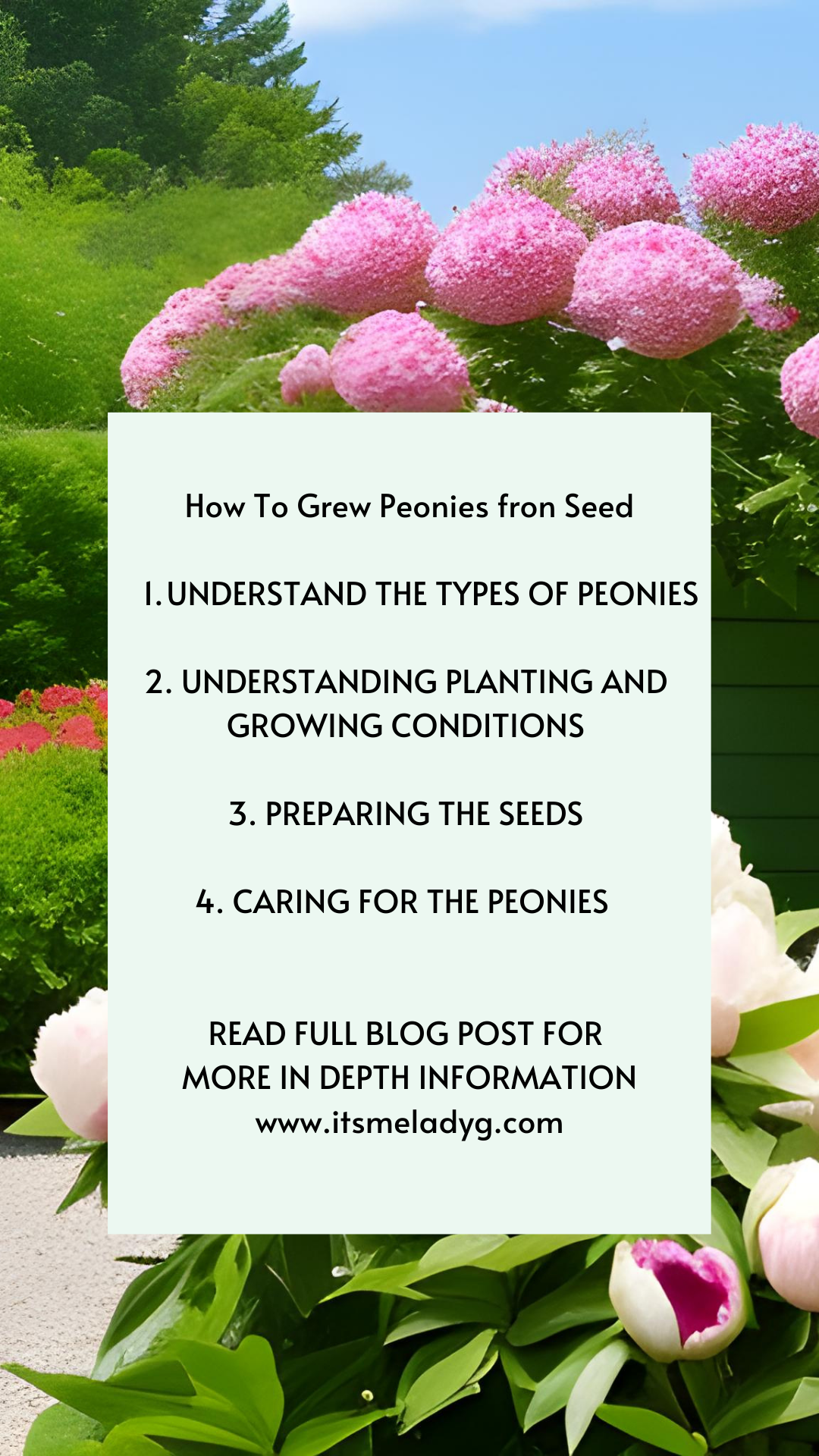 Gone To Seed  Seed pods, Growing peonies, Flower seeds