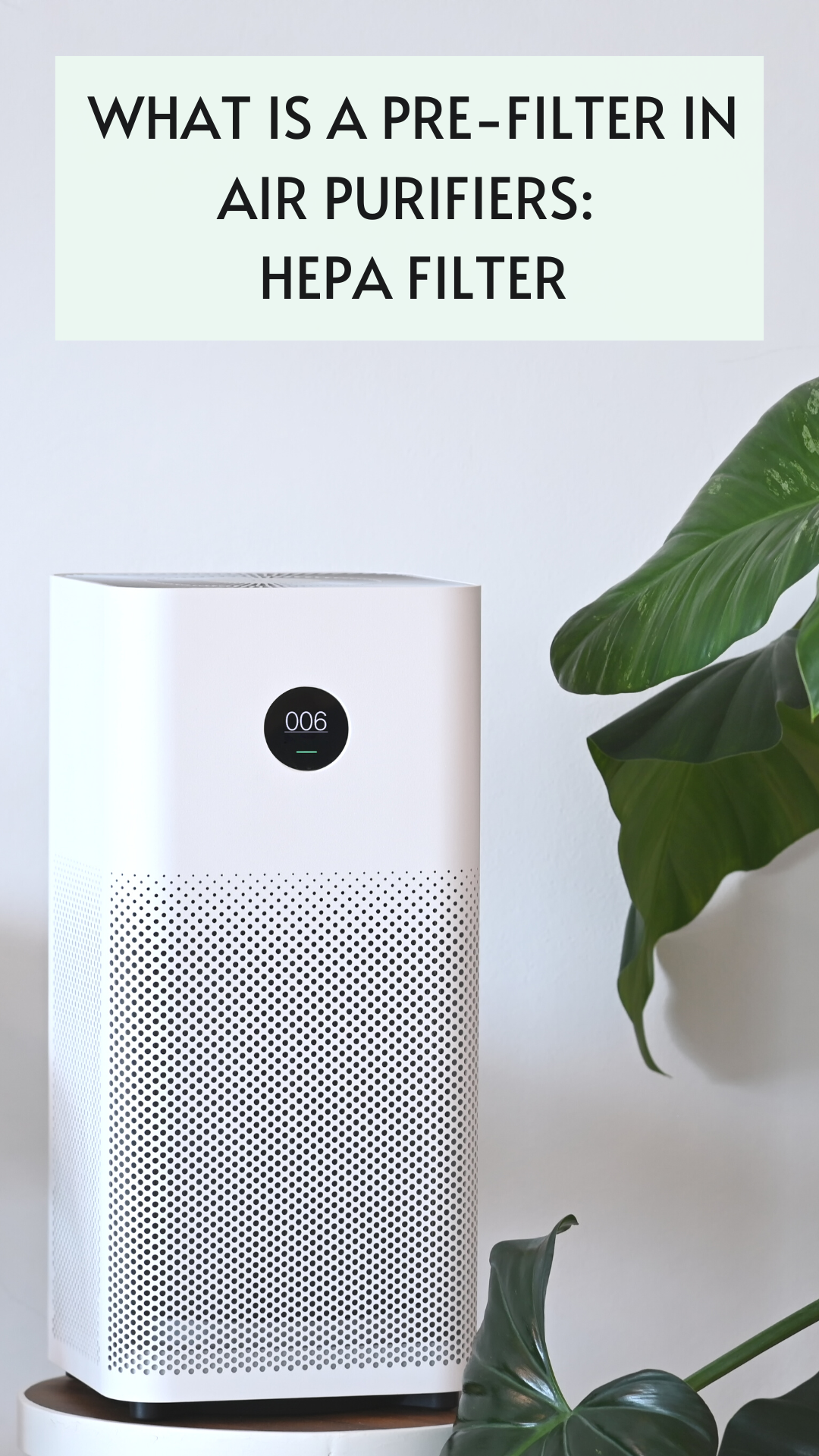 How to Clean an Air Purifier With a HEPA, Disposable, or Carbon Filter