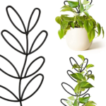 10 Inexpensive Gift Ideas For Plant Lovers