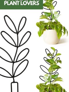 10-inexpensive-gift-ideas-for-plant-lovers