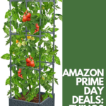 Amazon Prime Day Deals 2023: Things Your Garden Needs Now