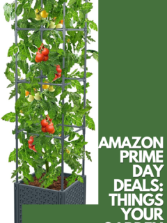 Amazon Prime Day Garden Deals