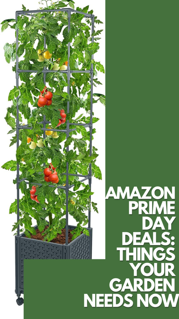 Amazon Prime Day Garden Deals