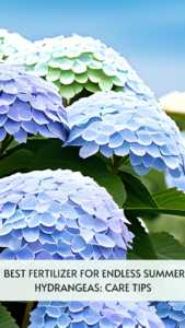 best-fertilizer-for-endless-summer-hydrangeas-