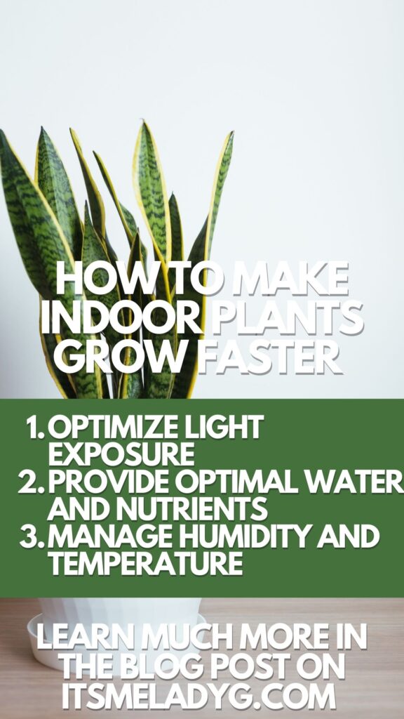 how to make indoor plants grow faster