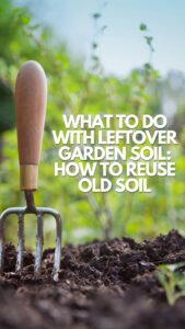 what-to-do-with-leftover-garden-soil
