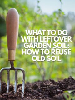 what-to-do-with-leftover-garden-soil