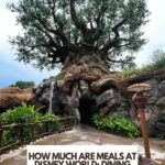 How Much Are Meals At Disney World: Dining Prices To Know