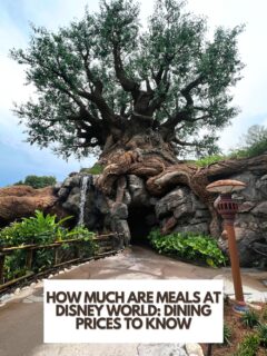 How-Much-Are-Meals-At-Disney-World-Dining-Prices-To-Know
