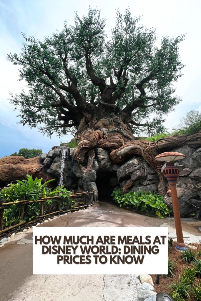 How Much Are Meals At Disney World: Dining Prices To Know