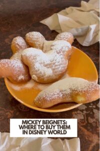 Mickey-Beignets-Where-to-buy-them-in-disney-world