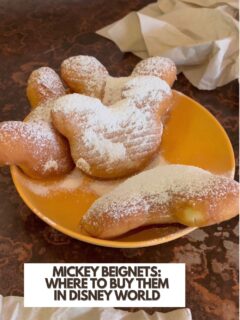 Mickey-Beignets-Where-to-buy-them-in-disney-world