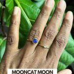 Honeycat Mood Ring For Women Jewelry Products Review