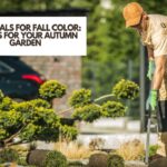 Perennials For Fall Color: Plants For Your Autumn Garden