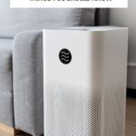 Can Air Purifiers Make You Sick?: Things You Should Know