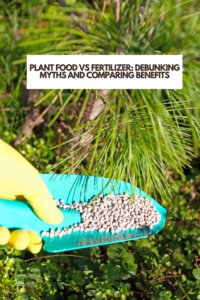 Plant Food vs Fertilizer