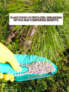 Plant Food vs Fertilizer