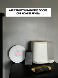 Are-Canopy-Humidifiers-Good-Our-Honest-Review