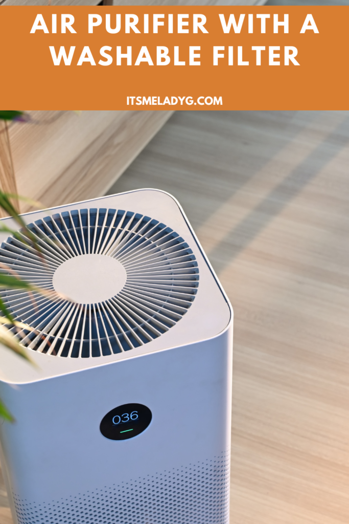 air purifier with a washable filter