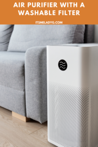Air purifier with a washable filter