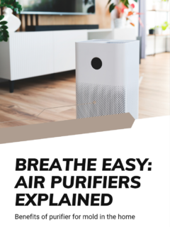 Benefits of purifier for mold in the home